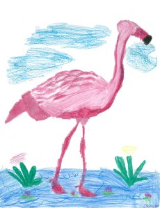 flamingo