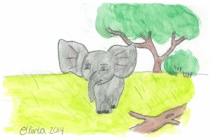 elephant