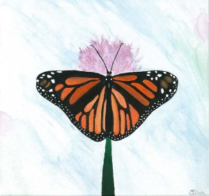 butterfly2015-web